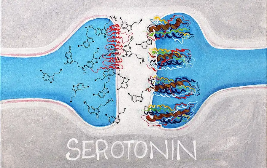 سروتونین چیست