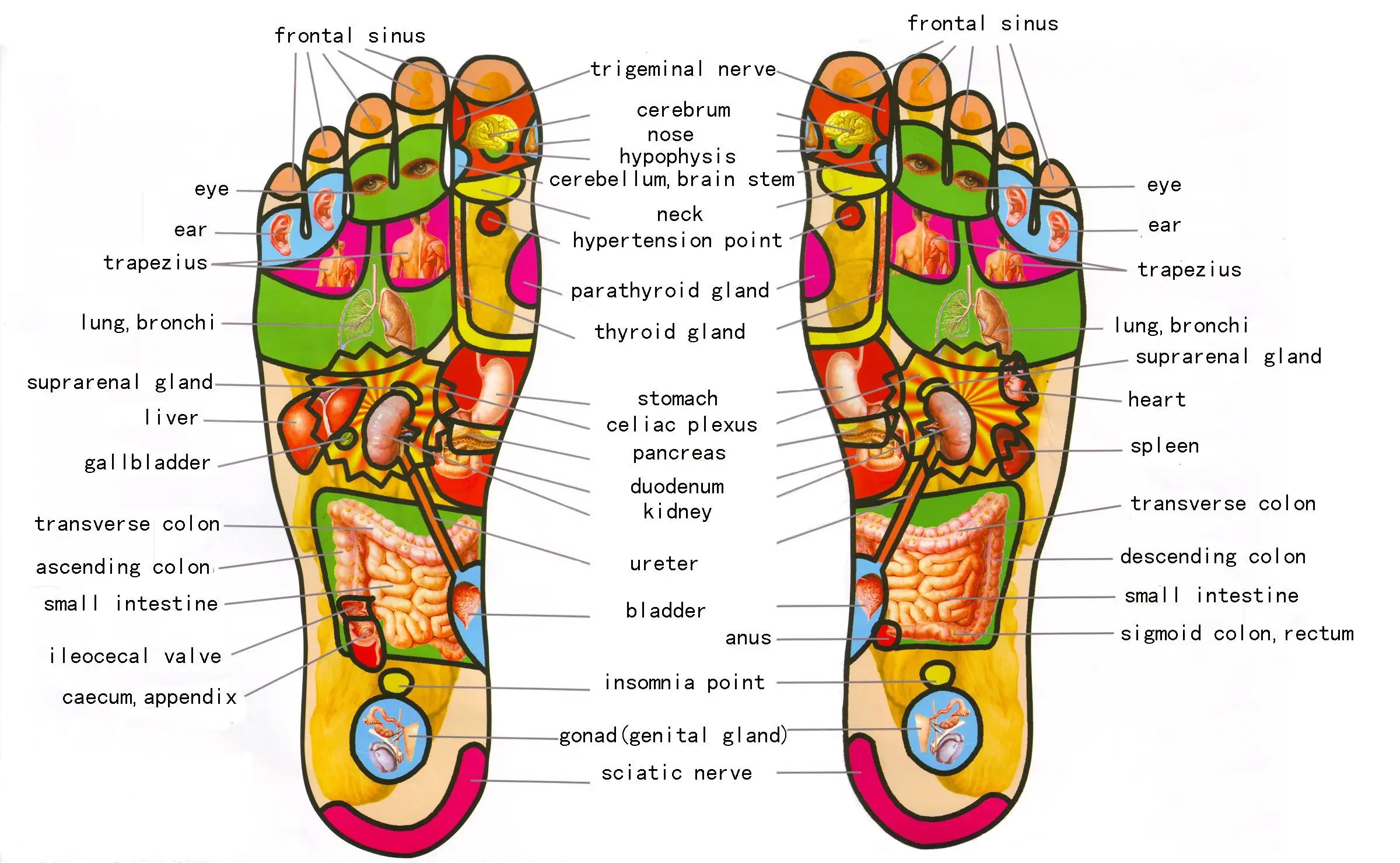 طب شرقی