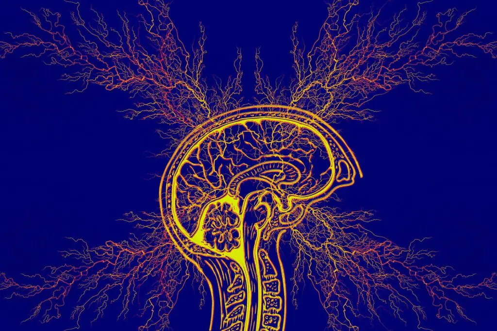 adult ADHD